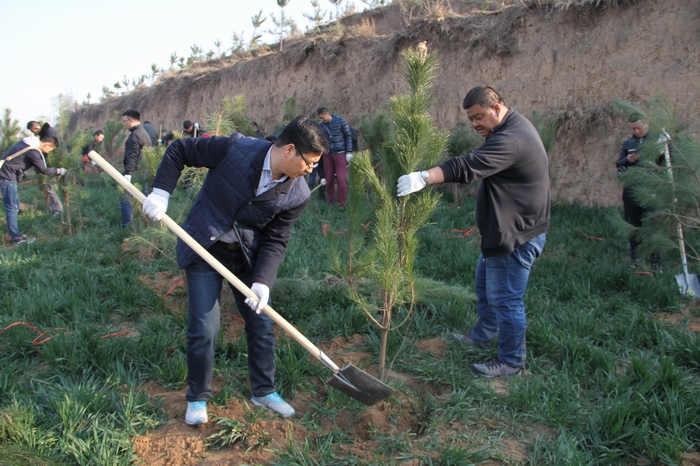 2017-3-8集團(tuán)義務(wù)植樹(shù) 028.jpg