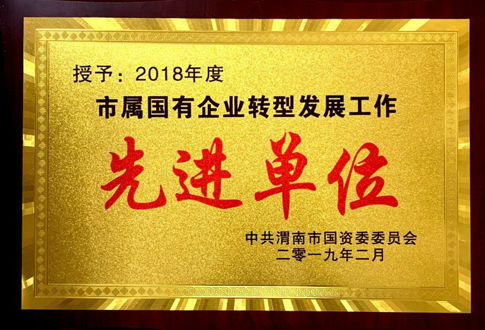 2018年企業(yè)轉(zhuǎn)型先進(jìn)單位.jpg
