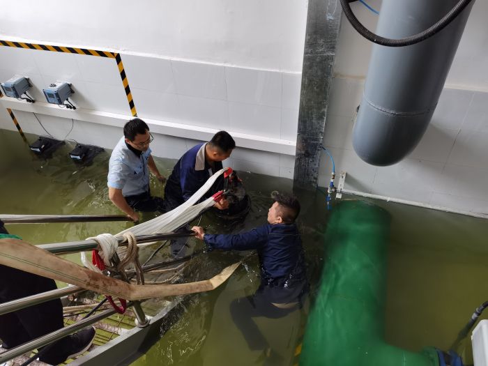 Ѵ�鴵푛_�h̖(h��o) �^��(zh��n)һ���@��ɫ (8).jpg